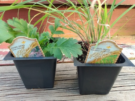 IMG 20220719 194404705