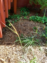 IMG 20220803 153124968 HDR