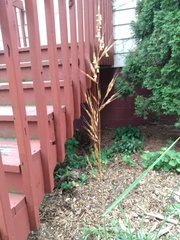 IMG 20220807 183605588