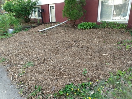 IMG 20220627 171955323