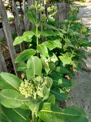 IMG 20220627 172148306 HDR