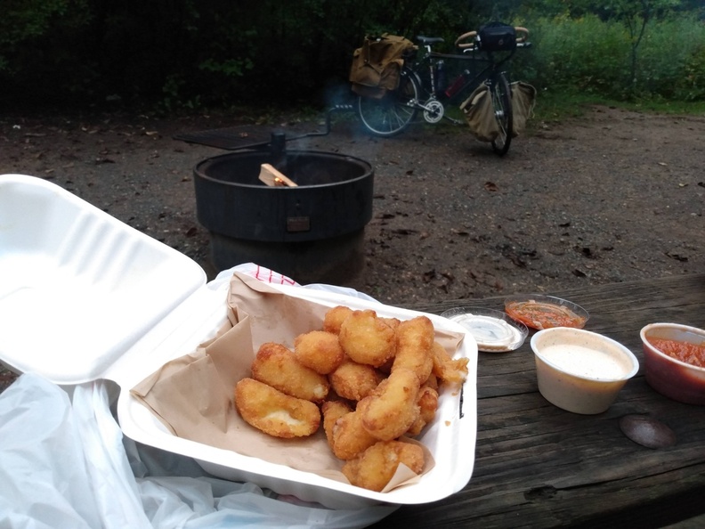 order of cheese curds with fire pit in the background