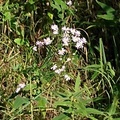 IMG 20210904 165820374