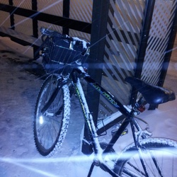 Winter Bike Rehab