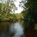 IMG 20210727 162840078