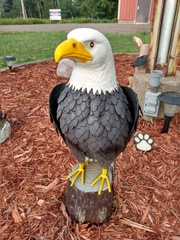 IMG 20210730 081231252 HDR