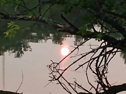 IMG 20210731 194531560
