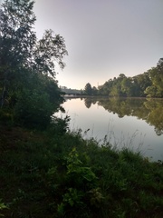IMG 20210801 072539480 HDR