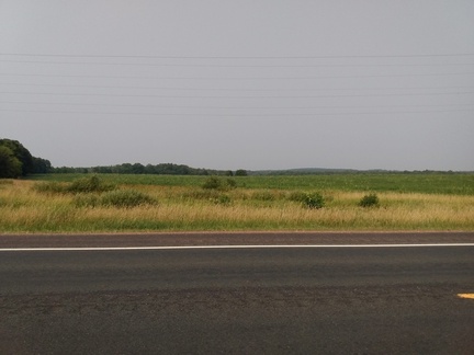 IMG 20210803 164400315
